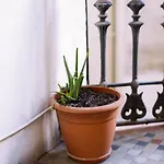 Eixample Gasthuis 2*