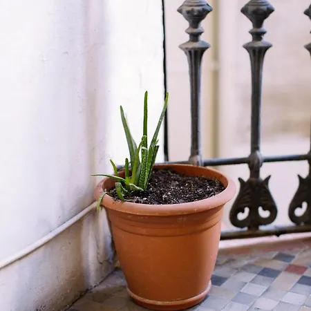 Eixample Guest house 2*