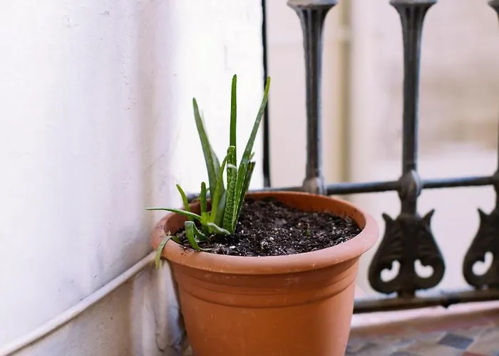 Eixample Affittacamere 2*